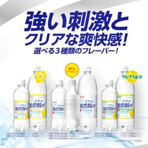 サンガリア 伊賀の天然水 強炭酸水 ラベルレス...の詳細画像5