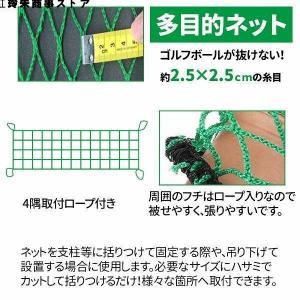 野球ネット 庭 自宅 3m×3m バッティング...の詳細画像1