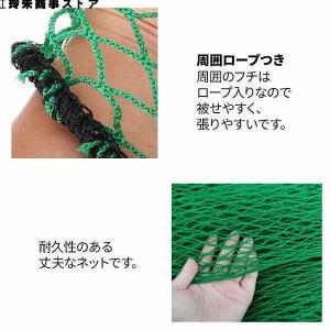 野球ネット 庭 自宅 3m×3m バッティング...の詳細画像2