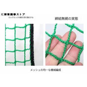 野球ネット 庭 自宅 3m×3m バッティング...の詳細画像4