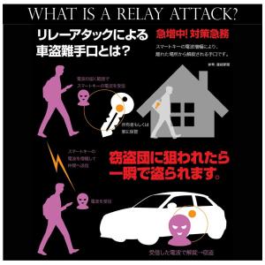 リレーアタック 缶 キーカバー ケース 40系...の詳細画像2