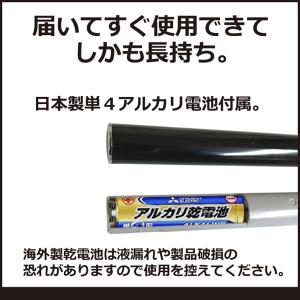 メンズ多機能フェイスシェーバー 日本製電池・替...の詳細画像1