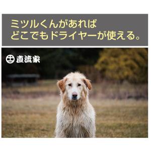 防災グッズ ドライヤー 直流家 ミツルくん専用...の詳細画像2