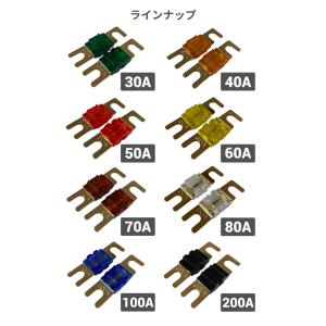 ANS ミニANL MIDI 相互 ヒューズ ...の詳細画像2