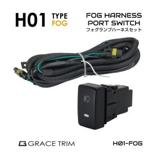 スイッチホール 増設 フォグランプ ポートスイッチ フォグ パネル