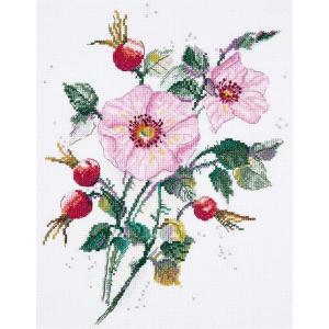 PANNA パンナ クロスステッチ刺繍キット 五月のワイルドローズ 16ct 植物