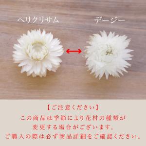 ハーバリウム キット [カラフル] プリザーブ...の詳細画像5