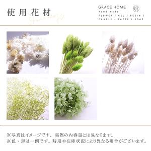 ハーバリウム キット [ナチュラル] プリザー...の詳細画像2