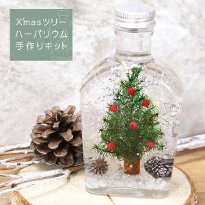 クリスマス ハーバリウム キット クリスマスツリ...の商品画像