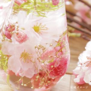 さくらハーバリウム キット 選べる2種類 桜 ...の詳細画像3