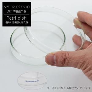 アロマワックスシャーレ(サシェ ) 手作り キ...の詳細画像5