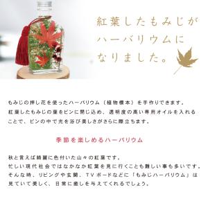 もみじ ハーバリウム キット ウィスキー瓶 秋...の詳細画像2