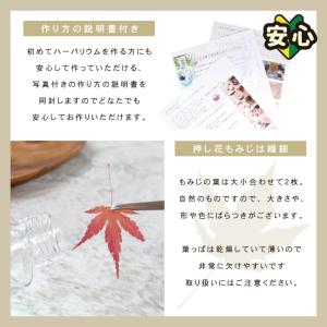 もみじ ハーバリウム キット ウィスキー瓶 秋...の詳細画像4