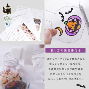 ハロウィン ハーバリウム キット | 飾り 塗...の詳細画像2