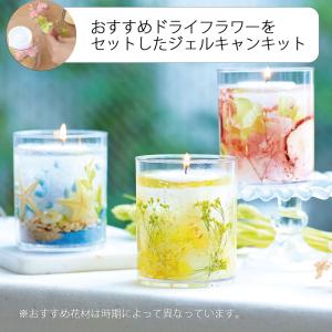 花材付き ボタニカル ゼリー キャンドル キット [ドライフラワー４種程度等花材つき] キャンドル ギフト プレゼント 飾り ろうそく 60代 70代 父の日 ギフト｜graceyecshop