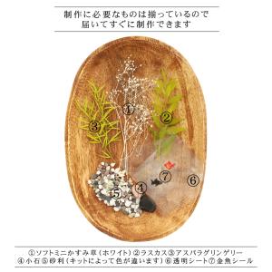 ハーバリウム キット [金魚] 夏 インテリア...の詳細画像2