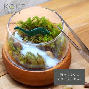 苔テラリウム キット 恐竜 フィギュア 付き [ 苔 箱庭 テラリウムト] コケリウム 箱庭 苔 ワークショップ イベント 工作キット 夏休み 工作 小学生