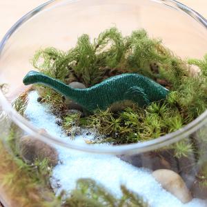 苔テラリウム キット 恐竜 フィギュア 付き ...の詳細画像1