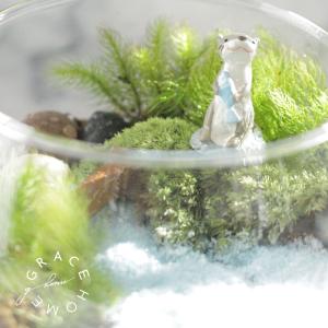 苔テラリウム キット カワウソ フィギュア 付...の詳細画像1