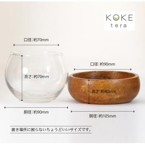 苔テラリウム キット カワウソ フィギュア 付...の詳細画像4
