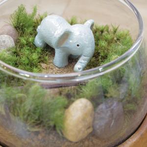 苔テラリウム キット ゾウ フィギュア 付き ...の詳細画像1