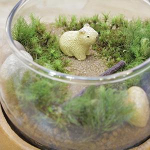 苔テラリウム キット カピバラ 防水 フィギュ...の詳細画像1