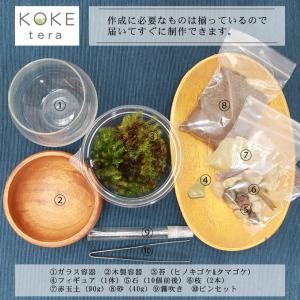 苔テラリウム キット カピバラ 防水 フィギュ...の詳細画像2