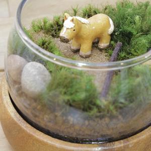 苔テラリウム キット 馬 防水 フィギュア 付...の詳細画像1