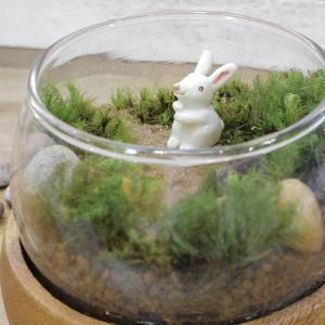 苔テラリウム キット うさぎ 防水 フィギュア...の詳細画像1