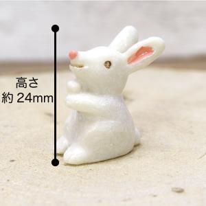 苔テラリウム キット うさぎ 防水 フィギュア...の詳細画像3
