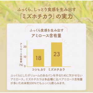 米粉 パン用 ミズホチカラ 2kg~20kg ...の詳細画像4