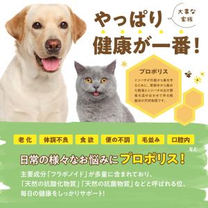 【正規販売店】 ミナスプロン プロポリス 30...の詳細画像3