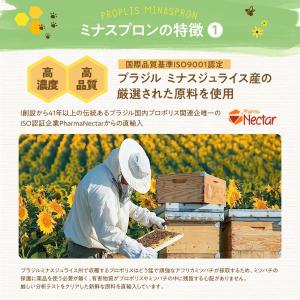【正規販売店】 ミナスプロン プロポリス 30...の詳細画像4