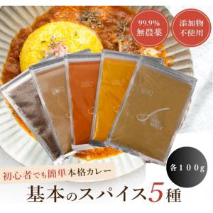 【D'sTs公式】 スパイスカレー カレー セット クミンシード ターメリック クミンパウダー チリパウダーコリアンダーパウダー カレー粉 無添加 100g ×５種セット