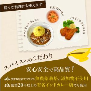 【DsTs公式】 スパイスカレー カレー セッ...の詳細画像2
