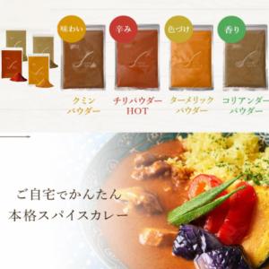 【DsTs公式】 スパイスカレー カレー セッ...の詳細画像3