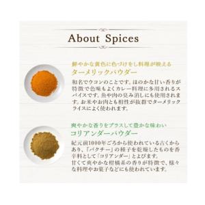 【DsTs公式】 スパイスカレー カレー セッ...の詳細画像4