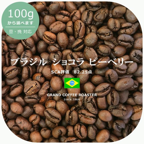 ブラジル ブラジルショコラ ピーベリー【100g】 自家焙煎コーヒー豆 スペシャリティコーヒー 中煎...