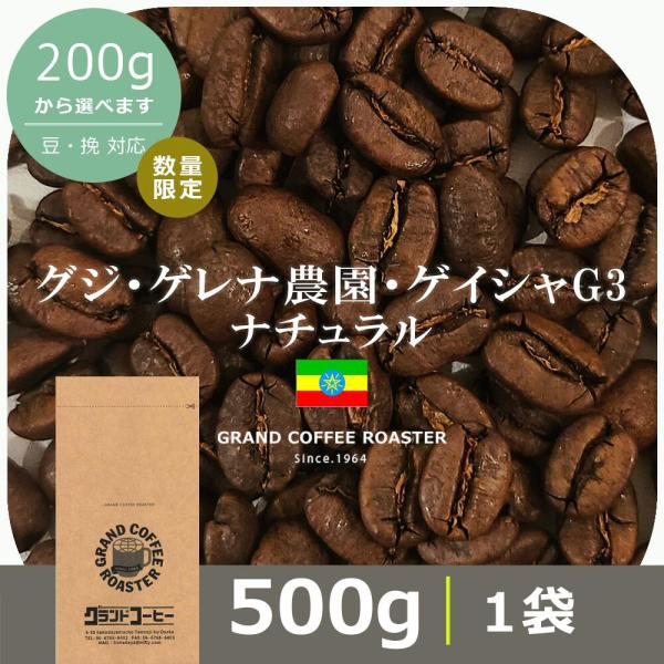グジ・ゲイシャG3ナチュラル 【500g】スペシャリティコーヒー 中煎り
