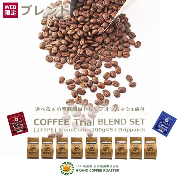 お試し飲み比べ [Aタイプ] 自家焙煎 ブレンドコーヒー豆100g×5種 500g 詰め合わせ＋選べ...