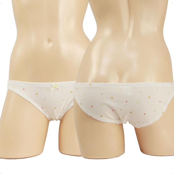 レディース みつばちとりんごとクローバー 天竺ニット インゴム ローライズ コットン ショーツ パン...