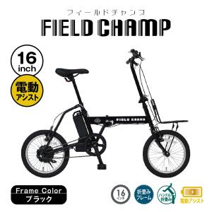 電動アシスト自転車 電動自転車 折りたたみ 購入特典付き