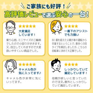 電動アシスト自転車 3輪 三輪車 大人用 高齢...の詳細画像3