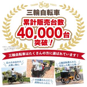 電動アシスト自転車 3輪 ノーパンクタイヤ 三...の詳細画像3