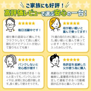 三輪車 大人用 電動アシスト自転車 3輪 ノー...の詳細画像5