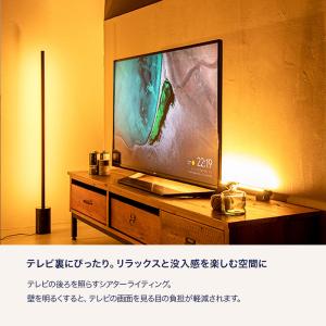 LED 間接照明 NEOMANX ネオマンクス...の詳細画像3