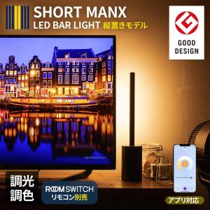 RGB 変色 フロアランプ 調光可能 LED コーナーライト現代風コーナ