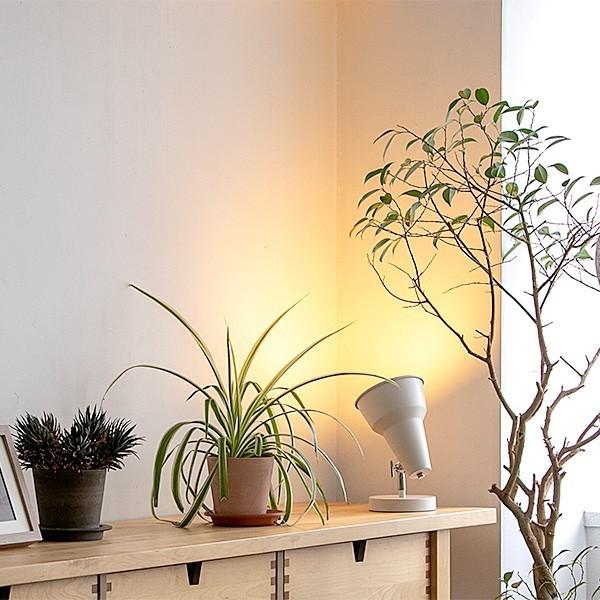 1灯 テーブルライト デスクライト 学習用 電気スタンド おしゃれ シンプル 寝室 ベッドサイド 読...