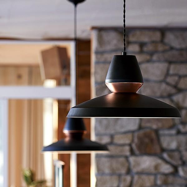 ARTWORKSTUDIO ペンダントライト AW-0533 1灯 E26 60W コード長さ調整可...