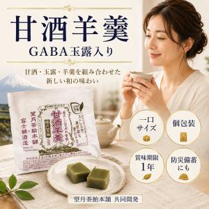 【まとめ買いがお得】 甘酒羊羹 GABA玉露入り 羊羹 ようかん 一口サイズ お中元 防災 非常食 限定 高級 和菓子 お供え物 甘酒 携帯 旅行 海外旅行 赴任 出張
